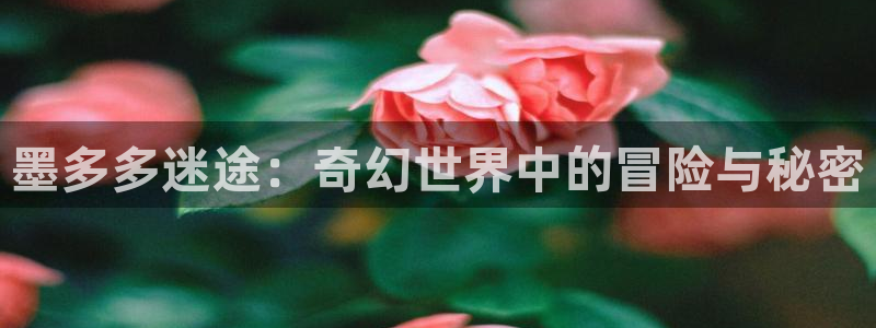汗汗漫画网页
