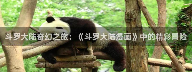 汗汗漫画首页进入