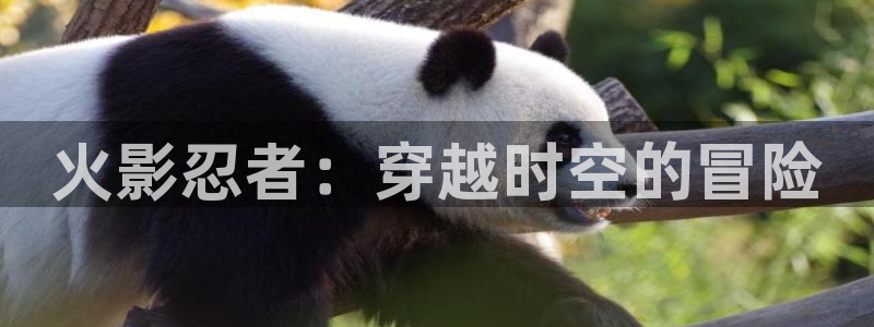 汗汗漫画网