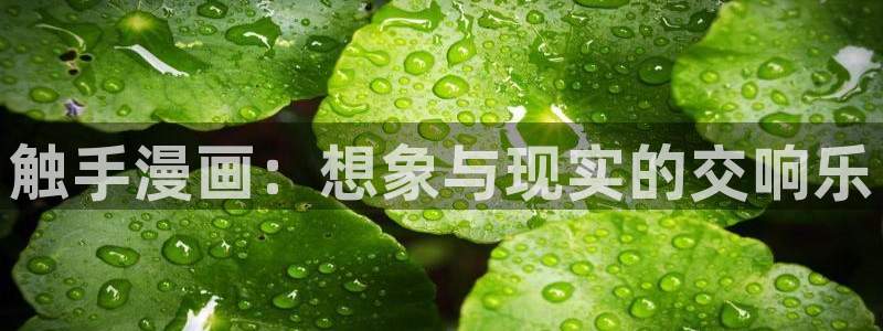 歪歪漫画汗汗漫画羞羞漫画在线观看