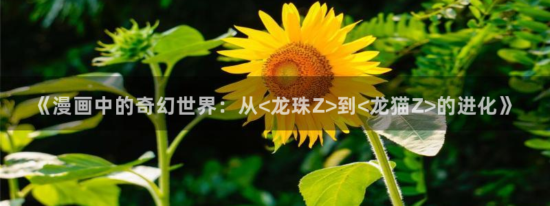 韩国汗汗漫画免费