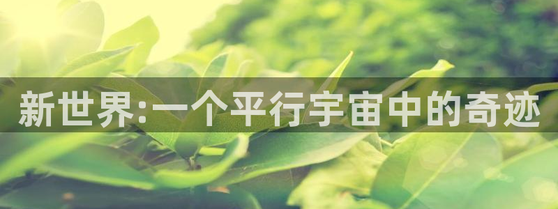 汗汗漫画网sss：新世界:一个平行宇宙中的奇迹