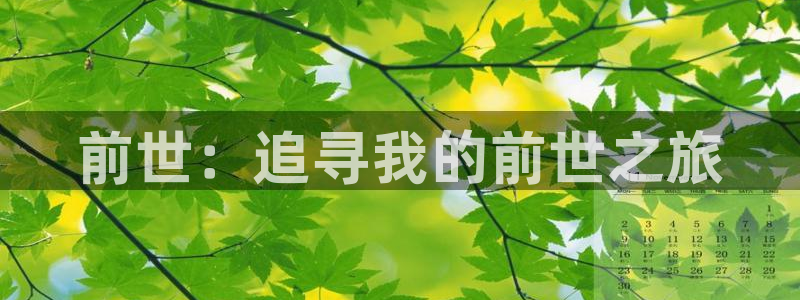 汗汗漫画……歪歪漫画：前世：追寻我的前世之旅