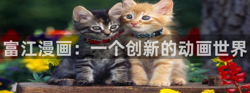 汗汗汗汗汗漫画：富江漫画：一个创新的动画世界