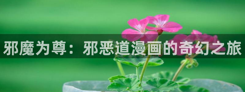 汗汗漫画——歪歪漫画：邪魔为尊：邪恶道漫画的奇幻之旅
