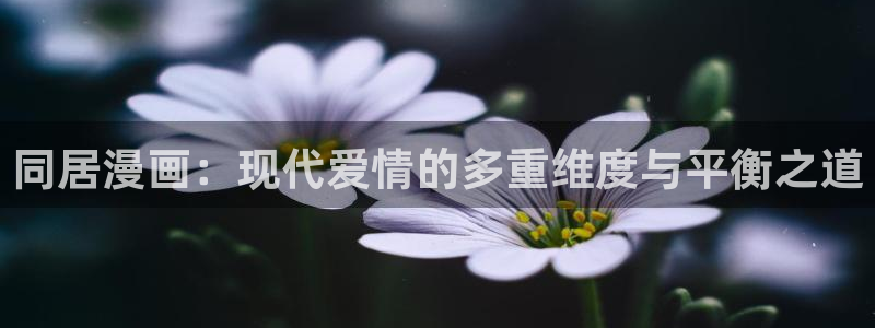 汗汗漫画网站：同居漫画：现代爱情的多重维度与平衡之道