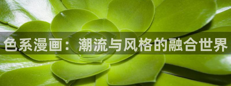 汗汗漫画首页面：色系漫画：潮流与风格的融合世界