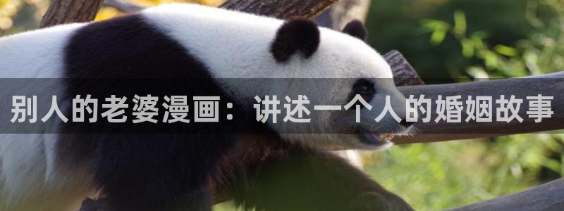 韩漫汗汗漫画网：别人的老婆漫画：讲述一个人的婚姻故事