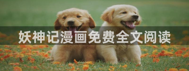 汗汗漫画18：妖神记漫画免费全文阅读
