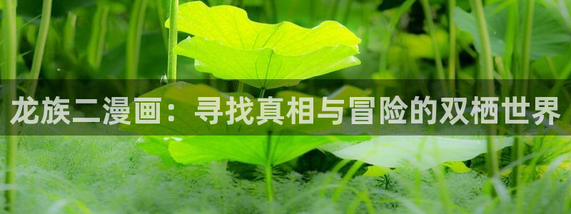 汗汗漫画首页.：龙族二漫画：寻找真相与冒险的双栖世界