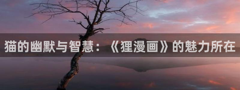 成人汗汗漫画：猫的幽默与智慧：《狸漫画》的魅力所在