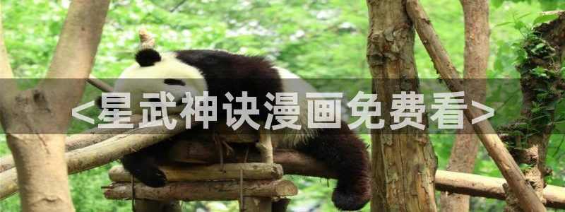 汗汗漫画是什么?