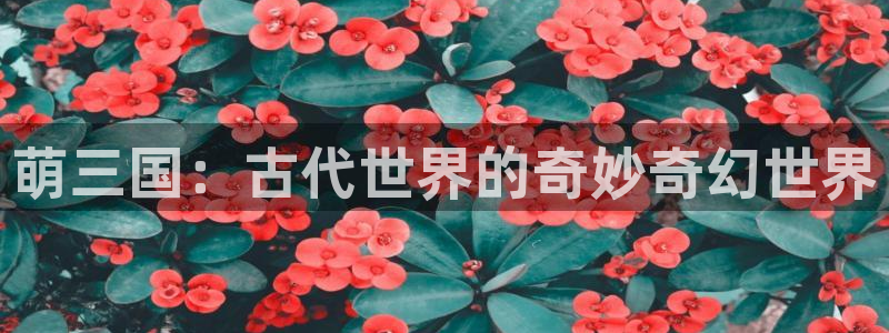 汗汗漫画免费登录：萌三国：古代世界的奇妙奇幻世界