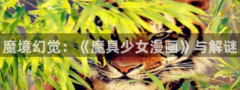 汗汗漫画无遮挡在线观看歪歪：魔境幻觉：《魔具少女漫画》与解谜