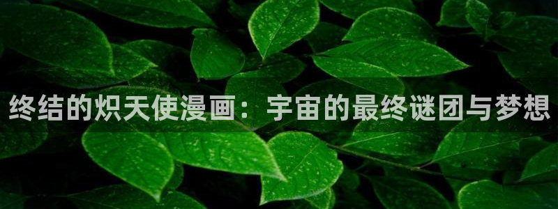 秘密教学汗汗漫画：终结的炽天使漫画：宇宙的最终谜团与梦想